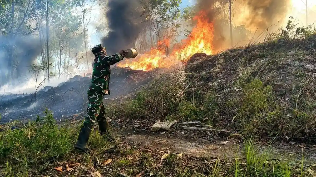 Puncak Kemarau Tingkatkan Ancaman Karhutla, Kemenkes Soroti Risiko bagi Kelompok Rentan