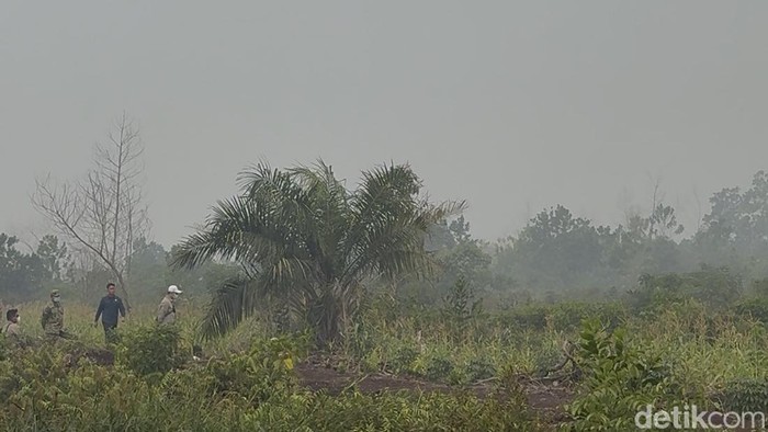 Kabut Asap Menyelimuti Sungai Raya, Bau Pembakaran Daun Terasa Menyengat
